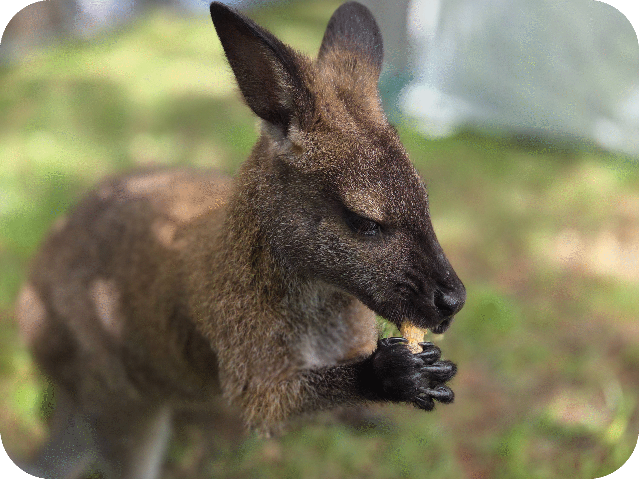 20250821_131028-modified