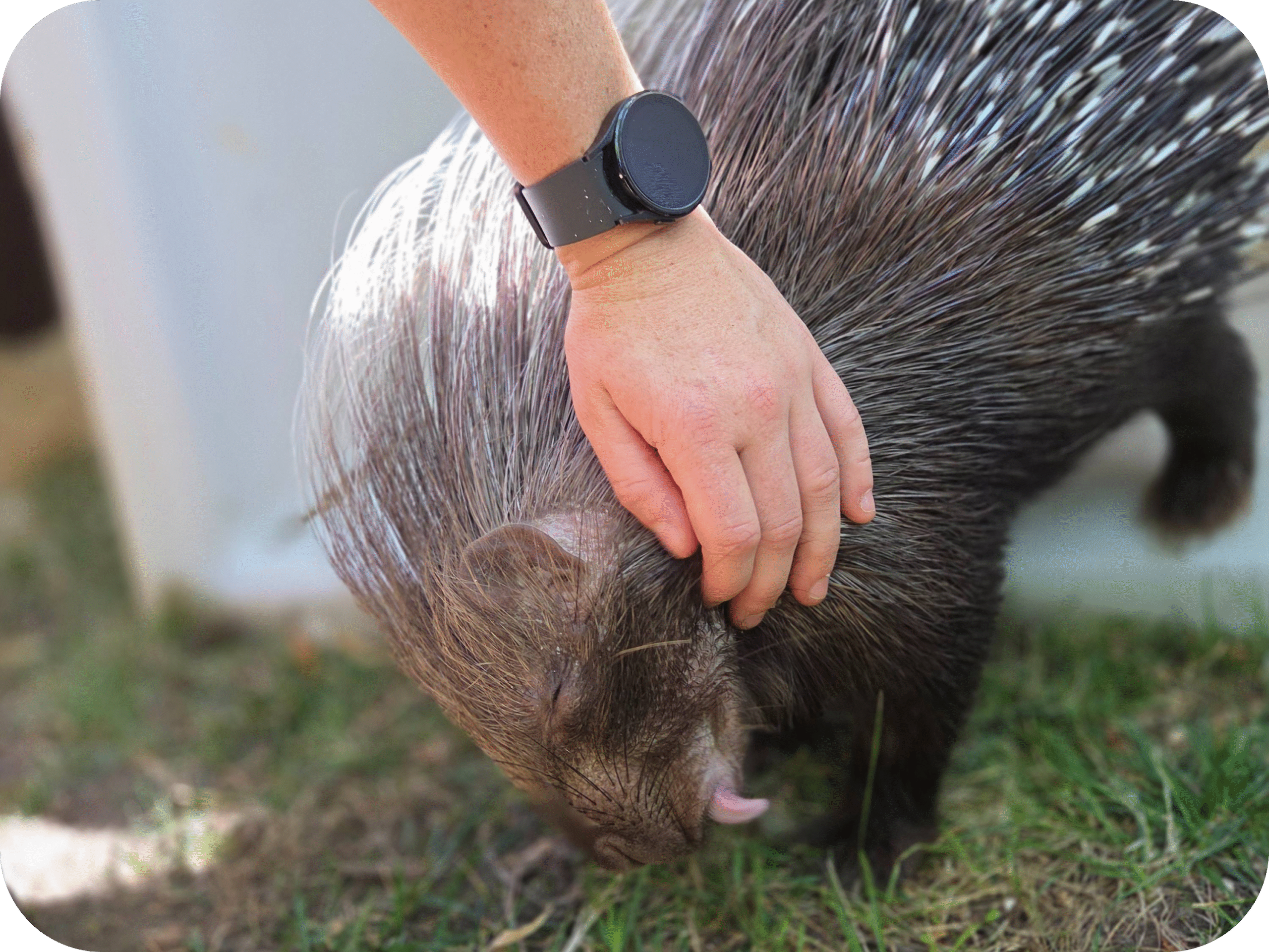 20250823_112049-modified